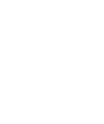 B+ AB